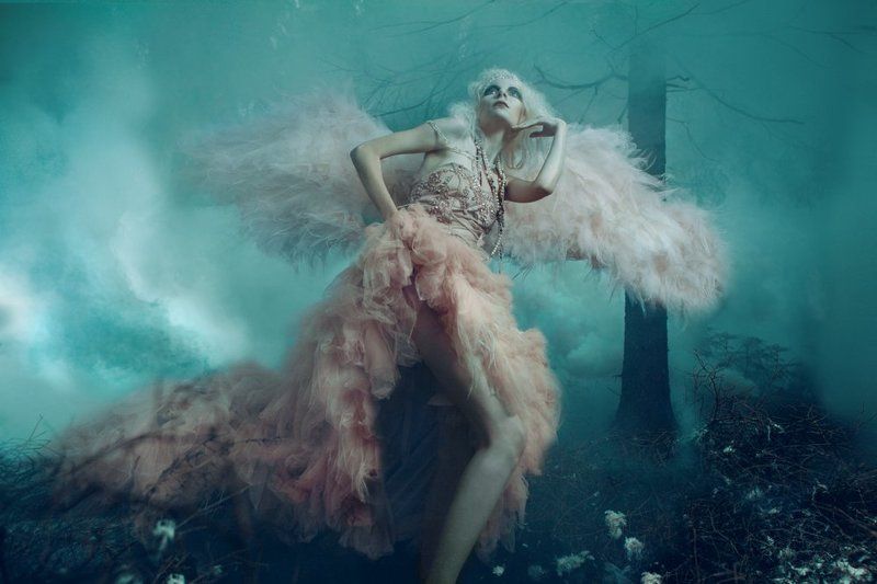 Птичка фото превью