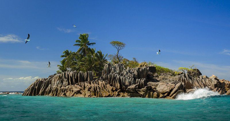 остров , сейшелы, синева, скалы, чайки, море, экзотика  Необитаемый фото превью