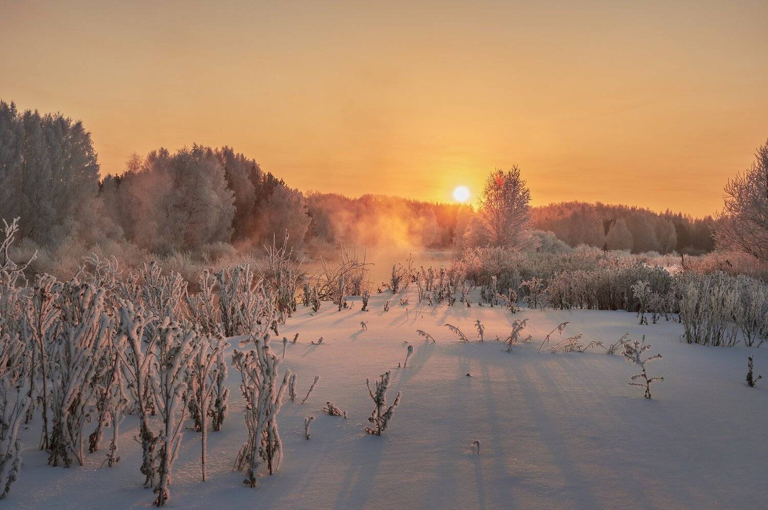 , Олег Богданов