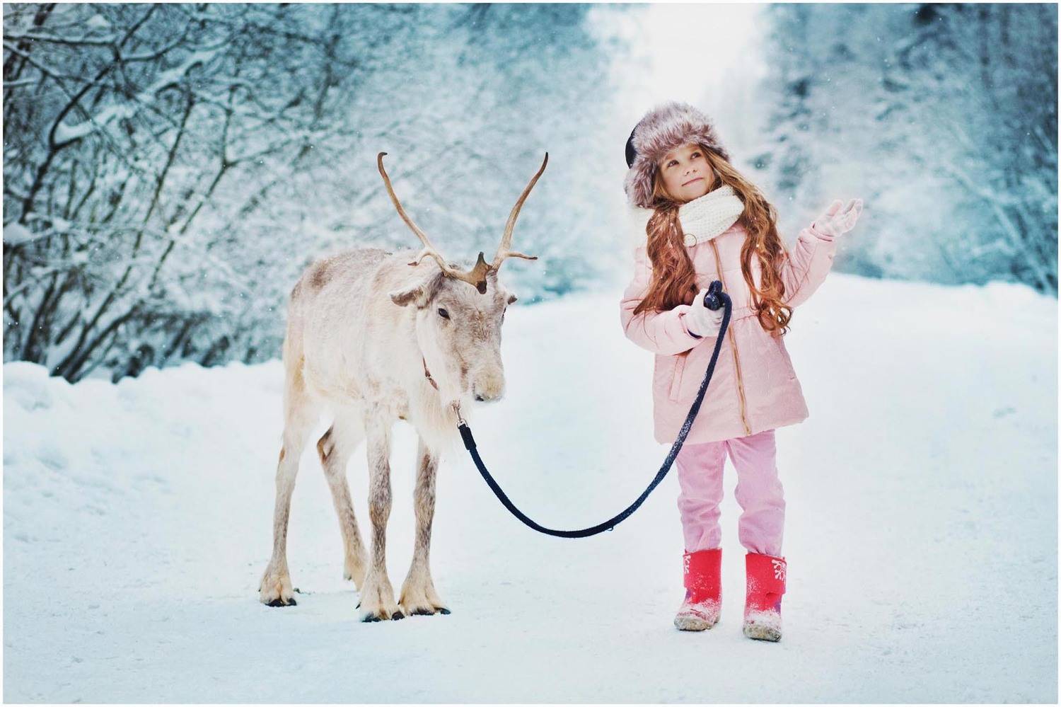 Лес, зима, олень, дети, Екатерина Лапатей