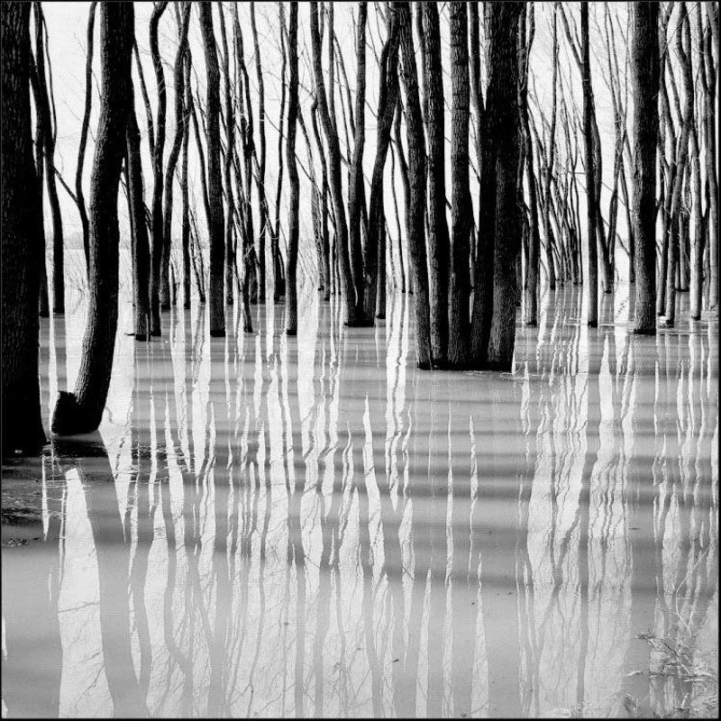 Разливы... фото превью