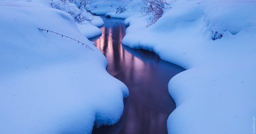 Серебрянка в морозных сумерках