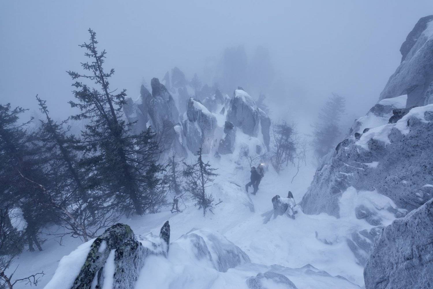 , Максим Евдокимов ( www.wildphotorus.ru )