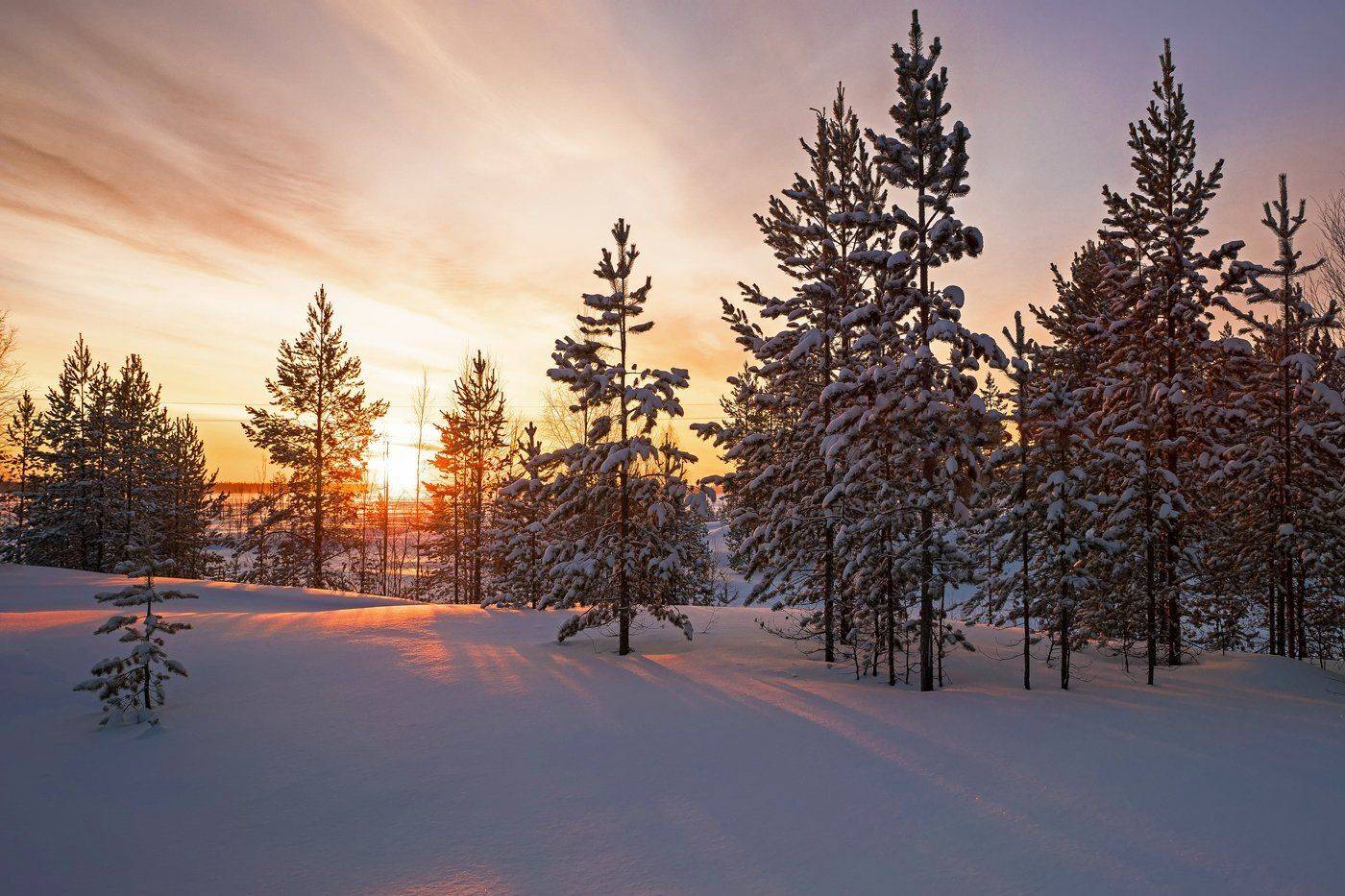 komi, pechora, коми, печора, рассвет, север, Игорь Подобаев