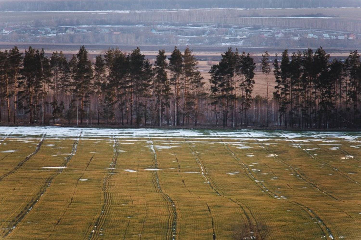 , Сергей Белых