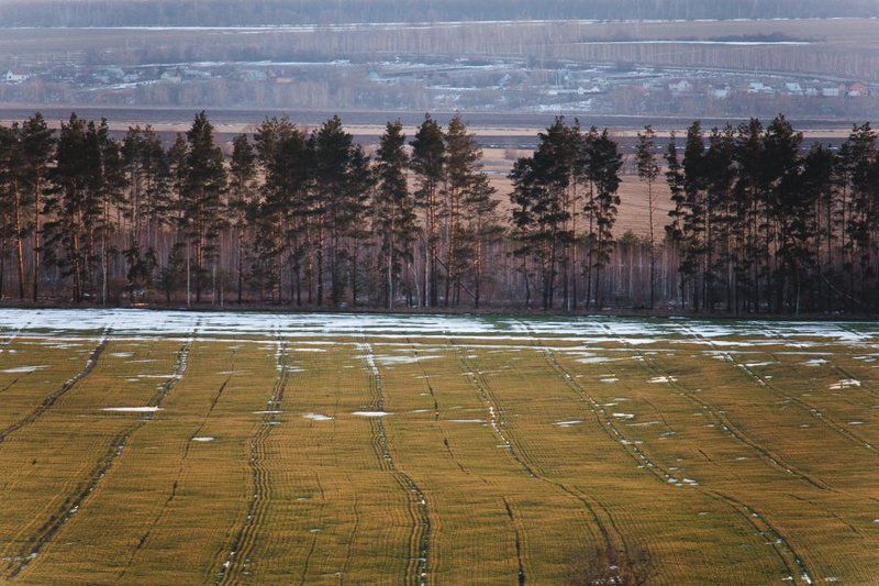 февральное потепление фото превью