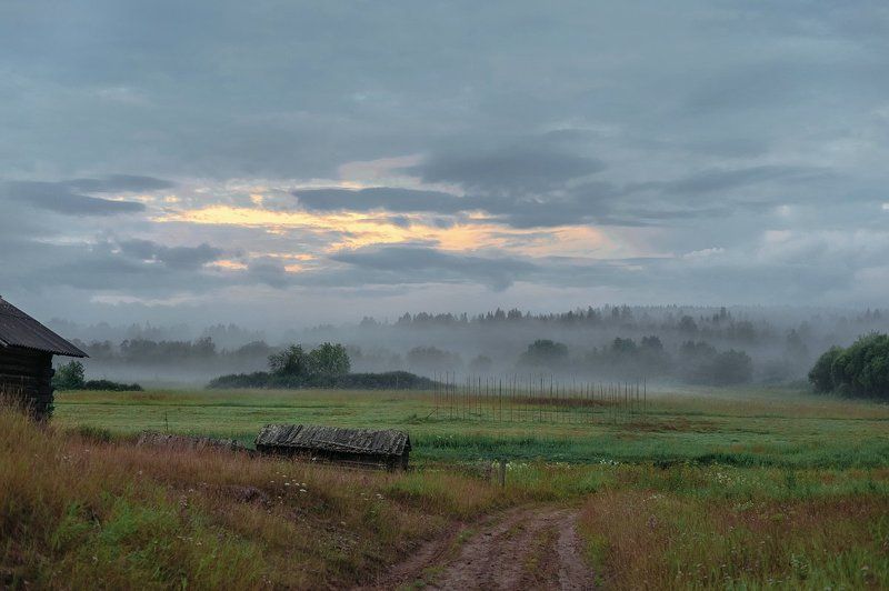 Белая ночь фото превью