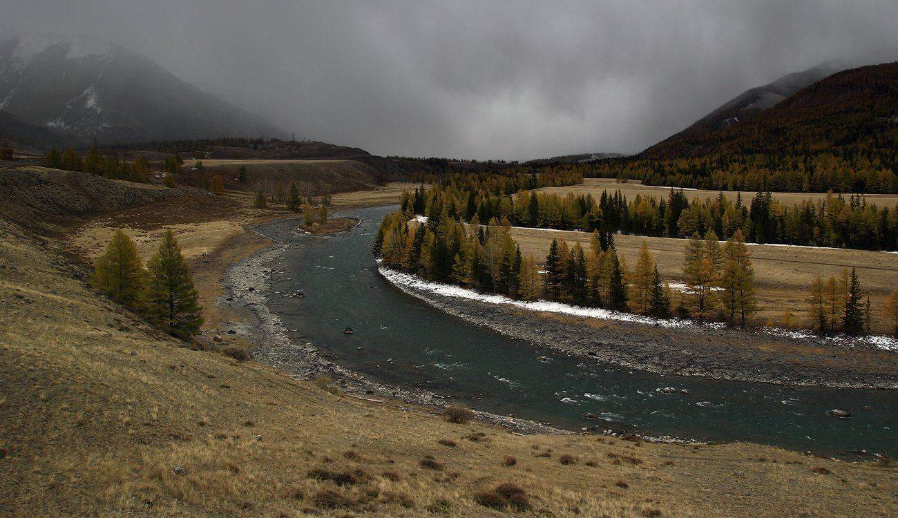 , Дмитрий Д.