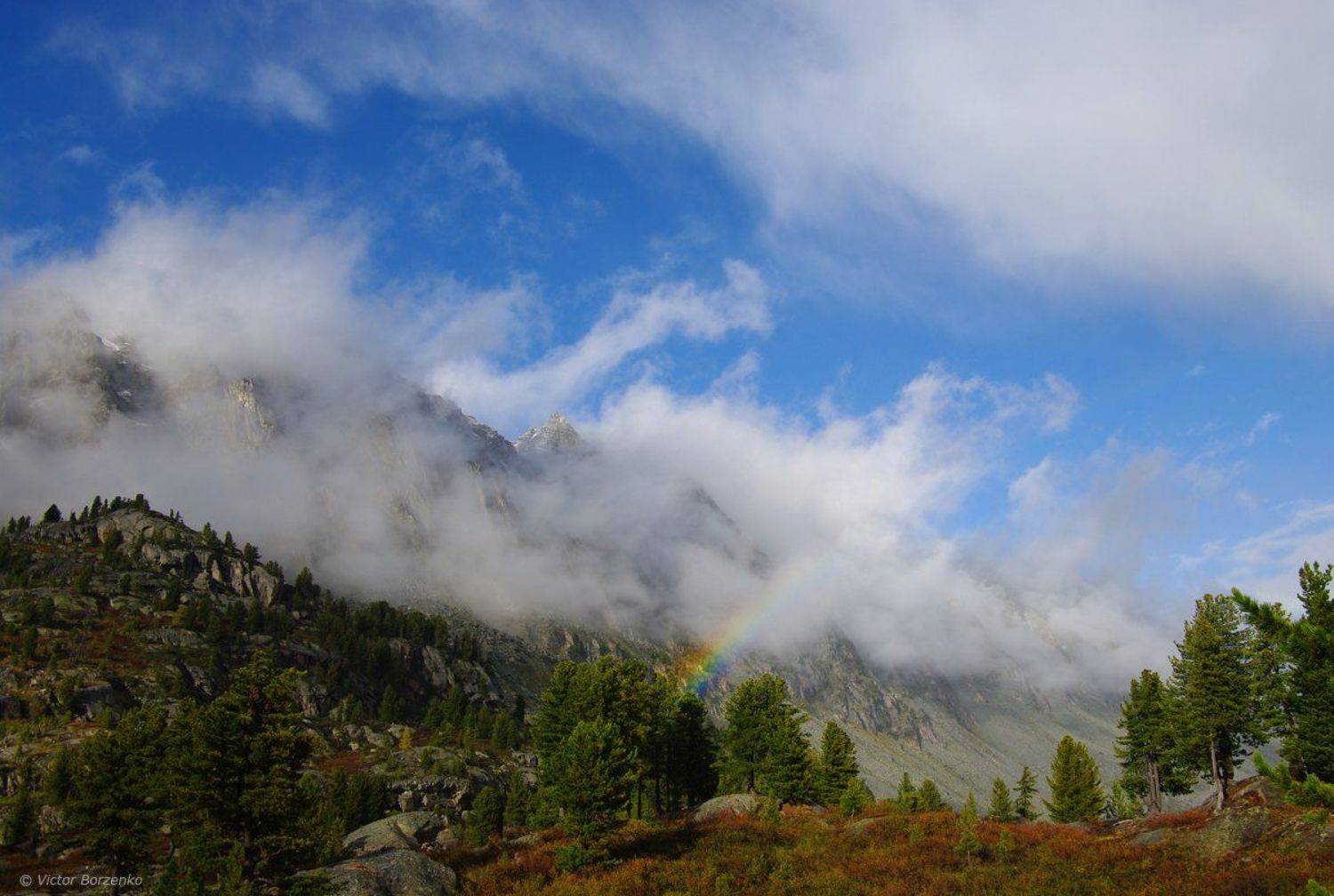 Алтай, Виктор Борзенко