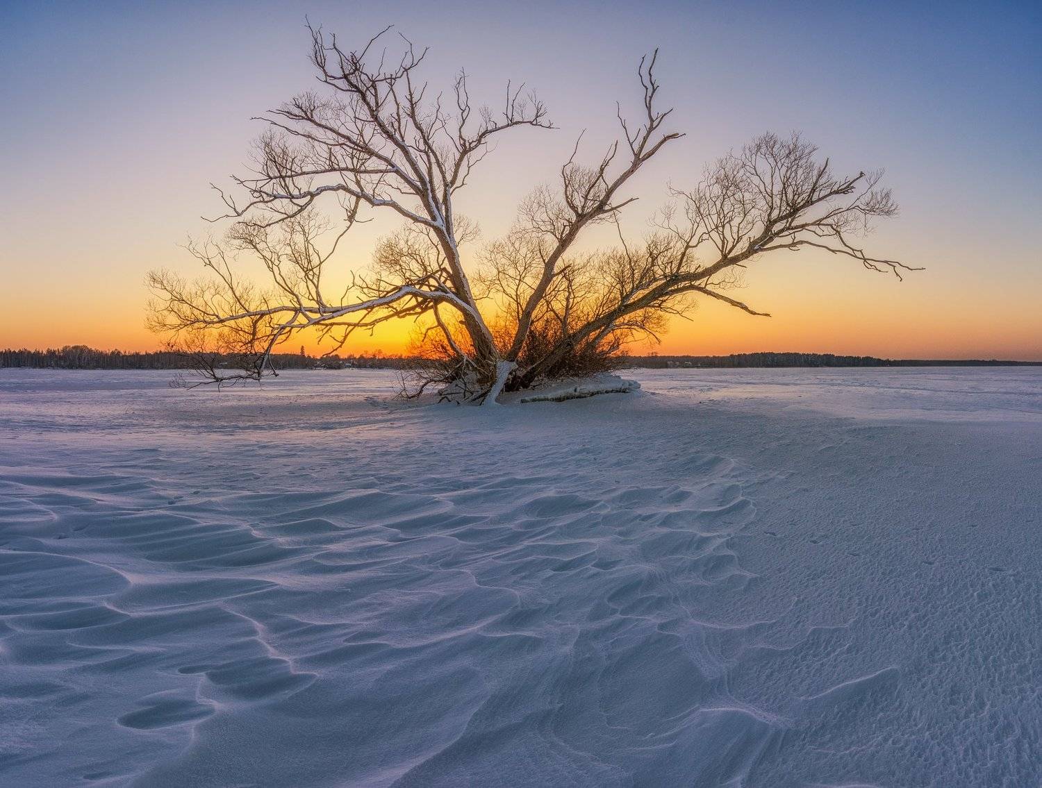 , Курдюков Михаил