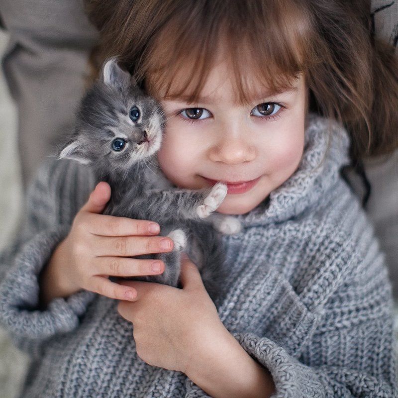 Sofa and kitty фото превью