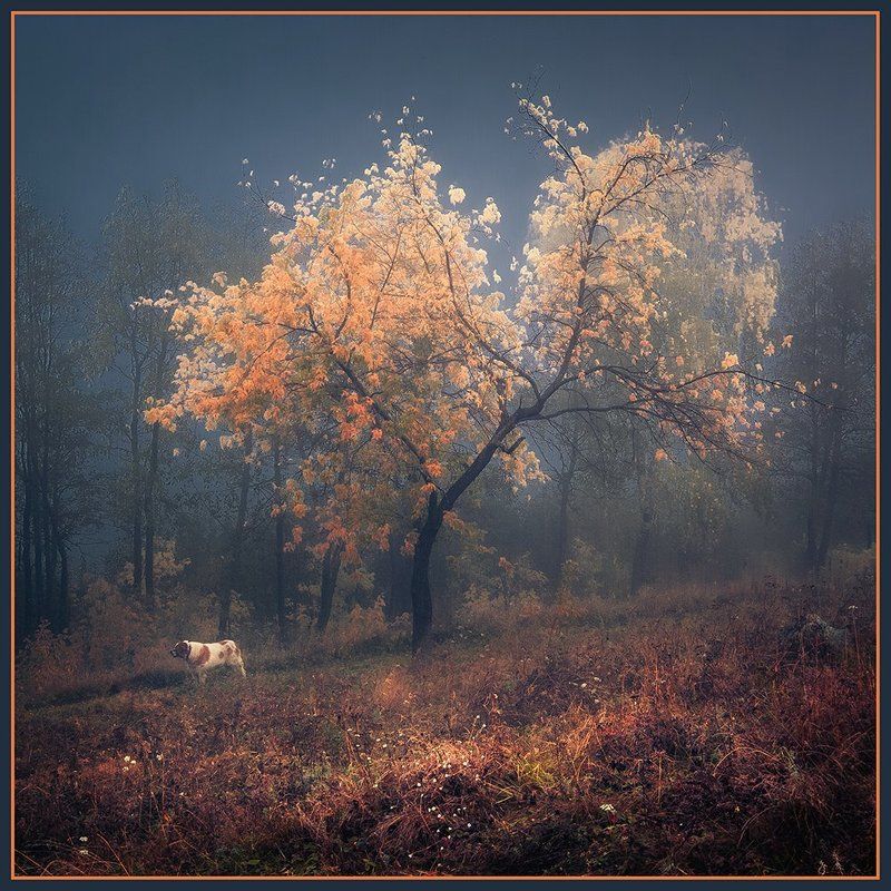 Осень Осенняя прогулка фото превью