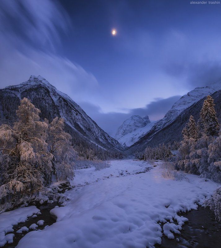 White Nights фото превью
