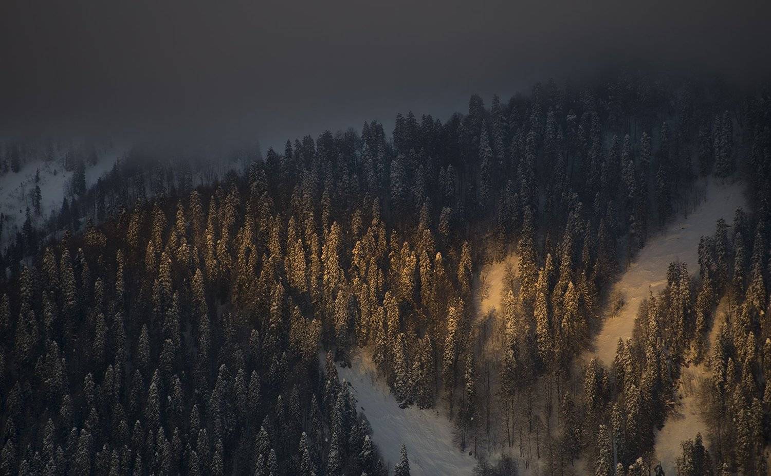 , Александр Нассонов