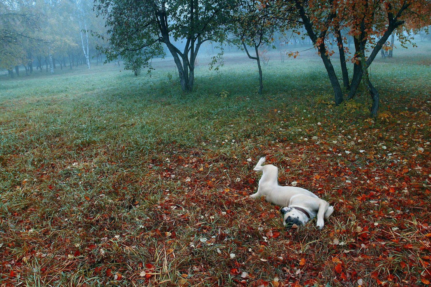 , Рудик Валерий