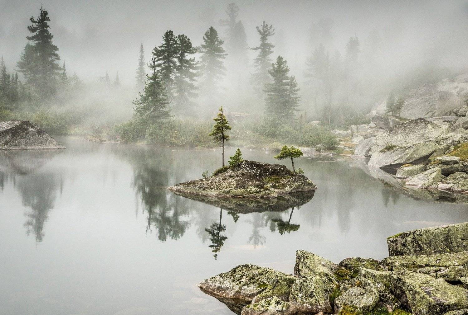 , Алексей Кретов