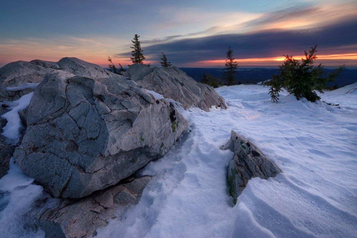 , Максим Евдокимов ( www.wildphotorus.ru )