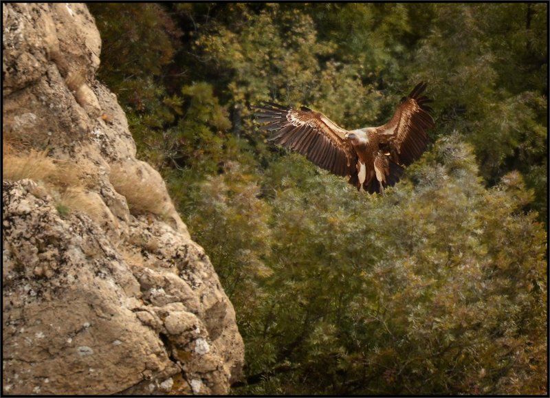 Про белые штанишки фото превью