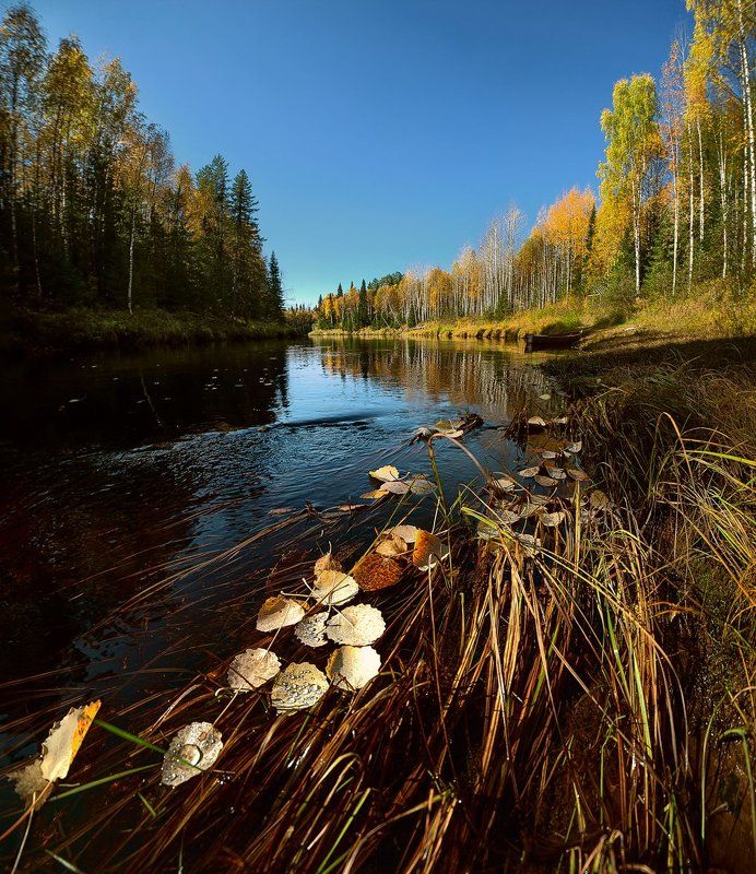 Сотка фото превью