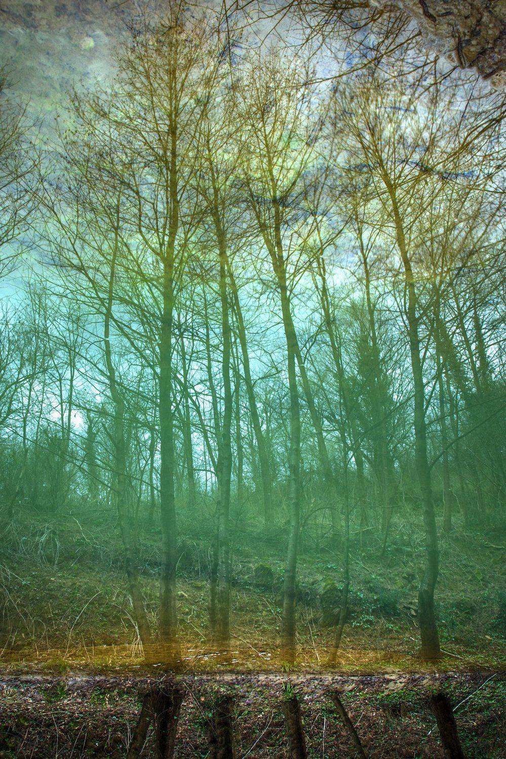 , Mindia Charkseliani