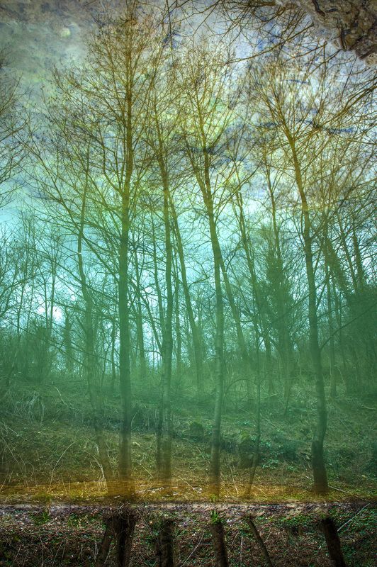 Отражение фото превью