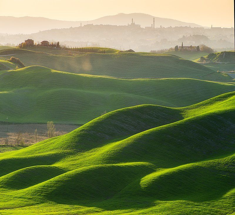 Fields below the towers фото превью