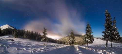 Хомяковщина в зимнюю ночь