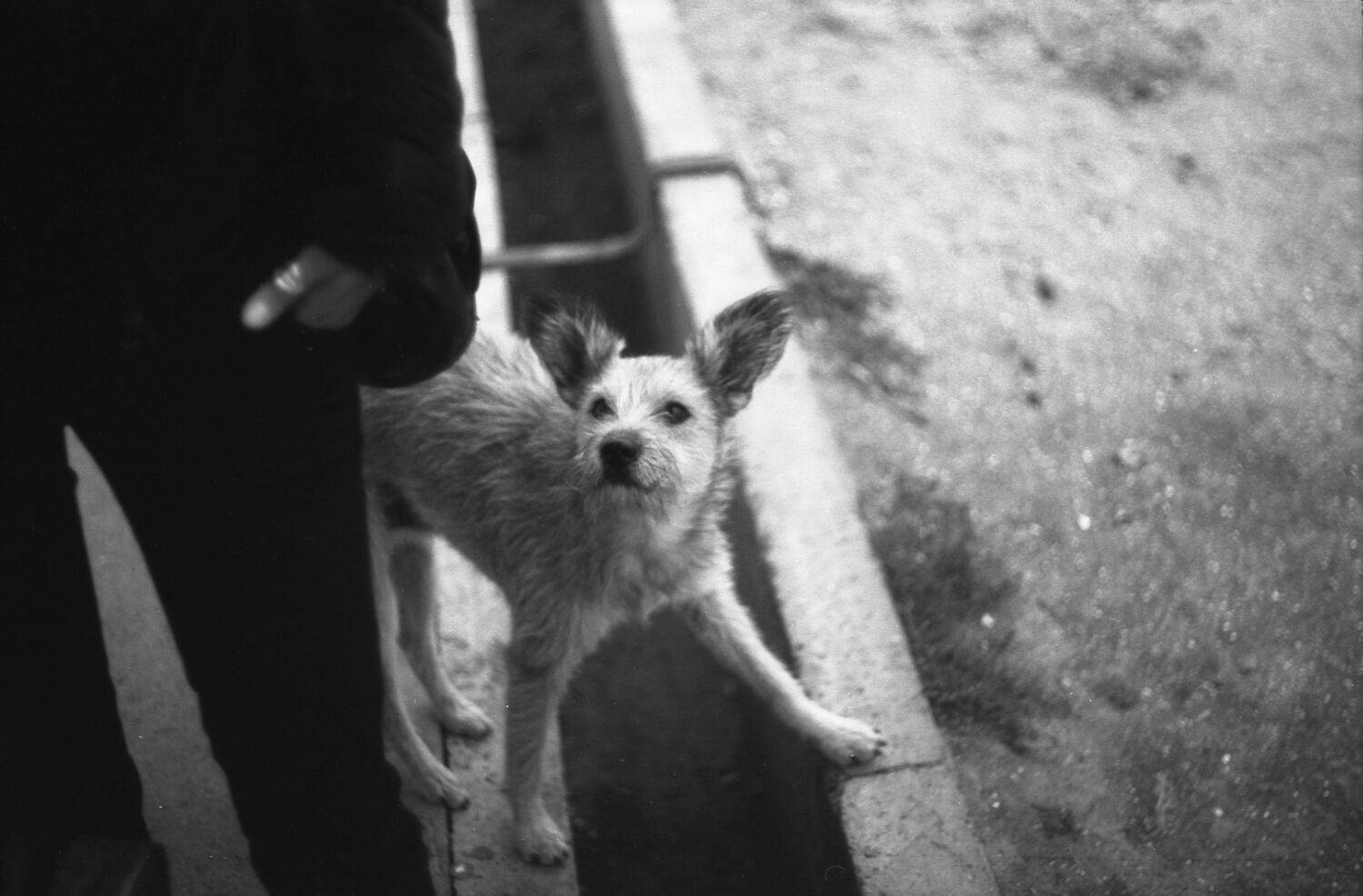 , Дмитрий Жуков