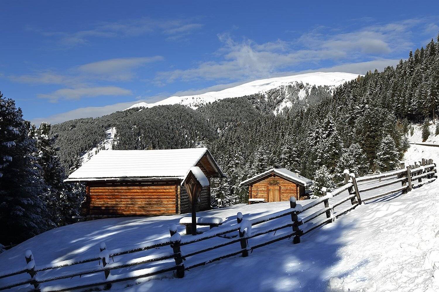 , Игорь Дубровский