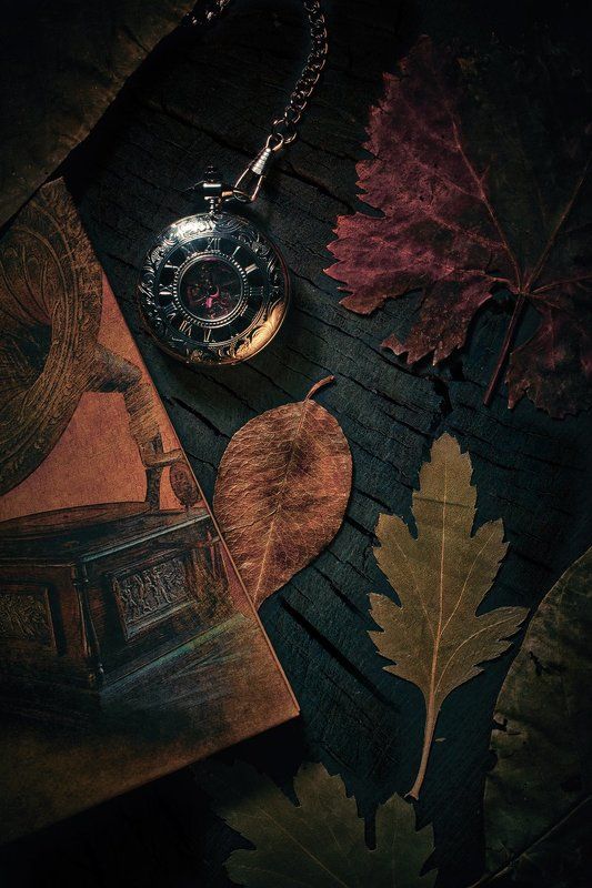 часы, карманные часы, листья, книги, керосиновая лампа, роза, сухоцветы, натюрморт Час осени фото превью