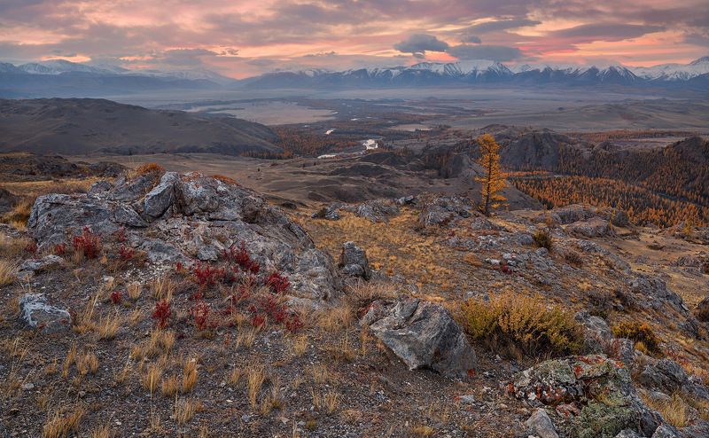 один обычный рассвет в Курайской степи фото превью