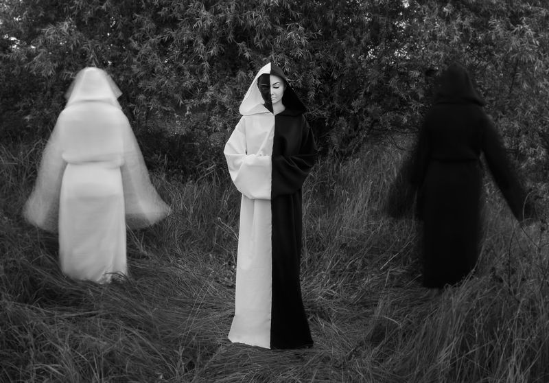 Проект Сущность фото превью