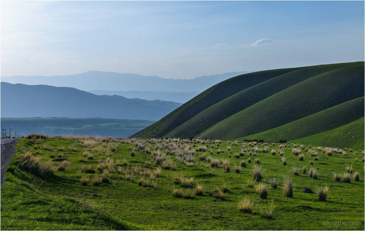 , Кутыгин Эдуард