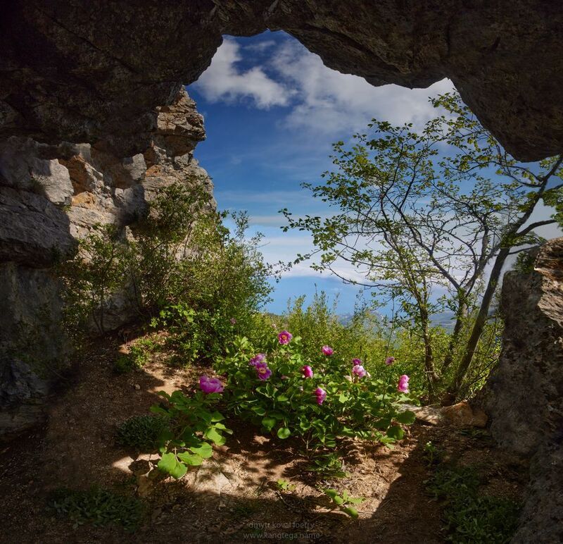 пейзажемагьё, пейзаж-как-виденье Пионовый грот небесно-морских далей … фото превью