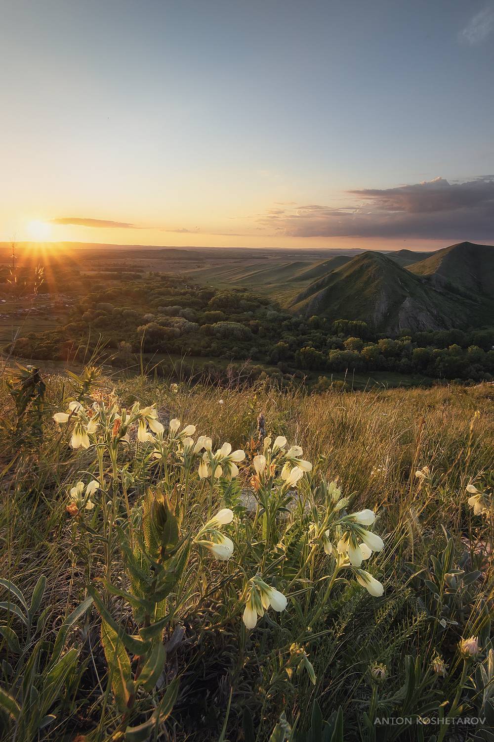 , Антон Кошетаров