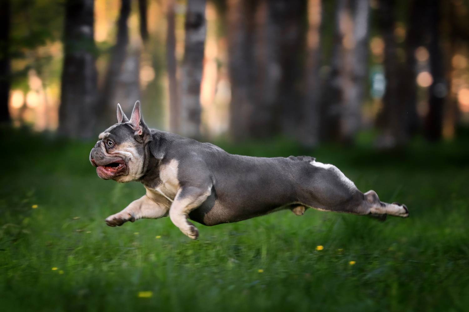 , Андрей Ершов