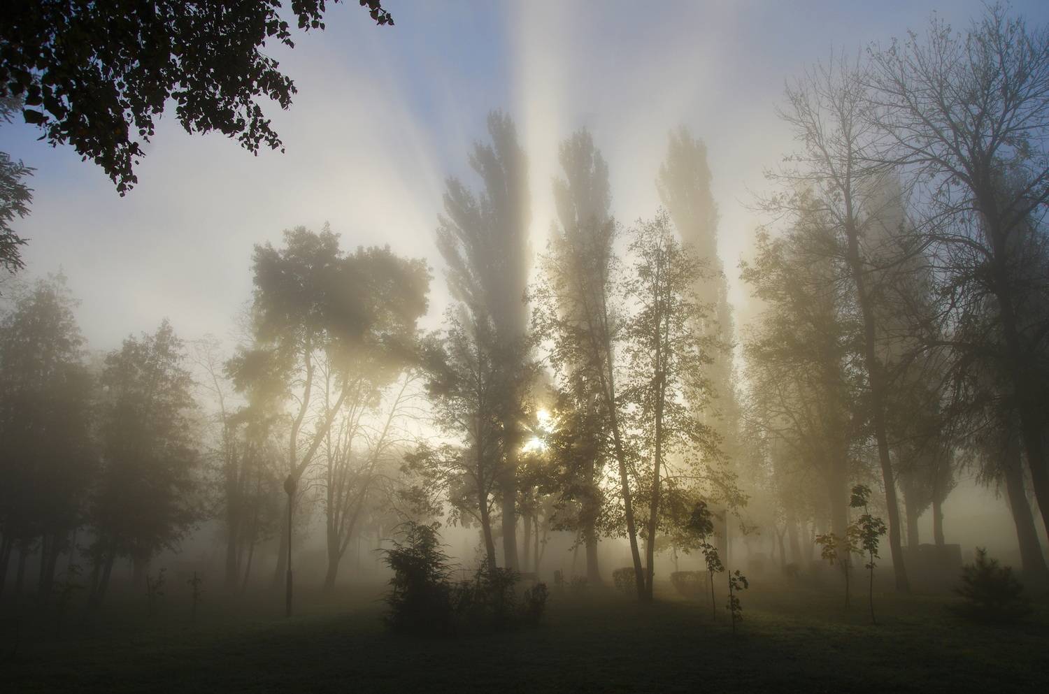 , Шляга Сергей