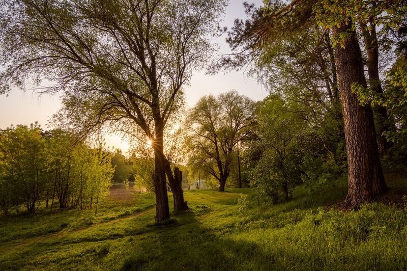 закат, пейзаж, солнце, дерево, озеро Майским вечером на озере в Кратово фото превью
