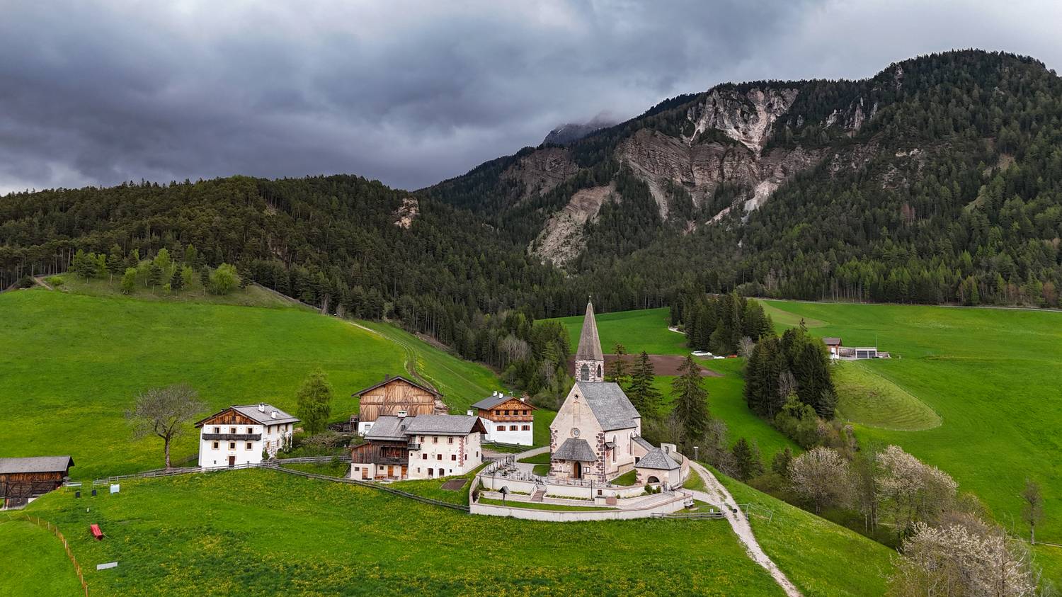 , Дария Максимова