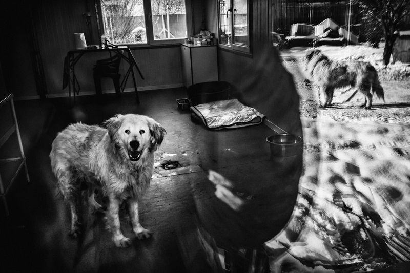 *** фото превью