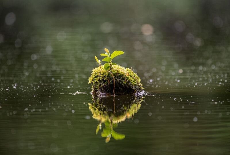 Крошечный остров фото превью