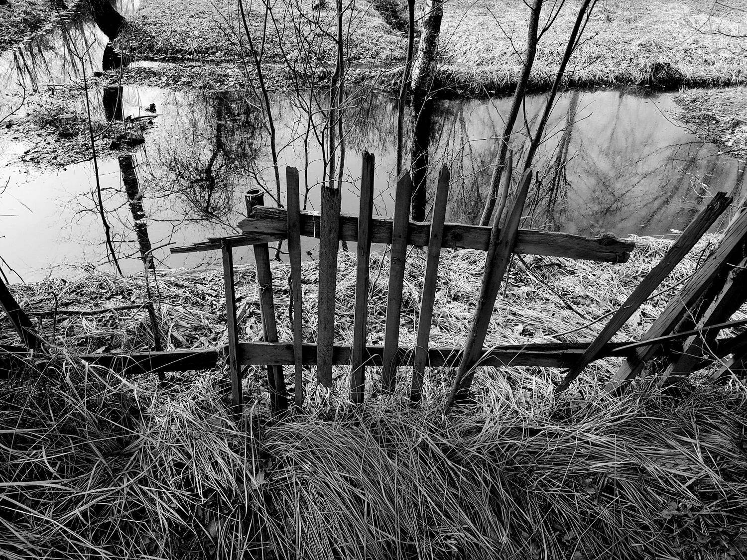 , Антон Лаба