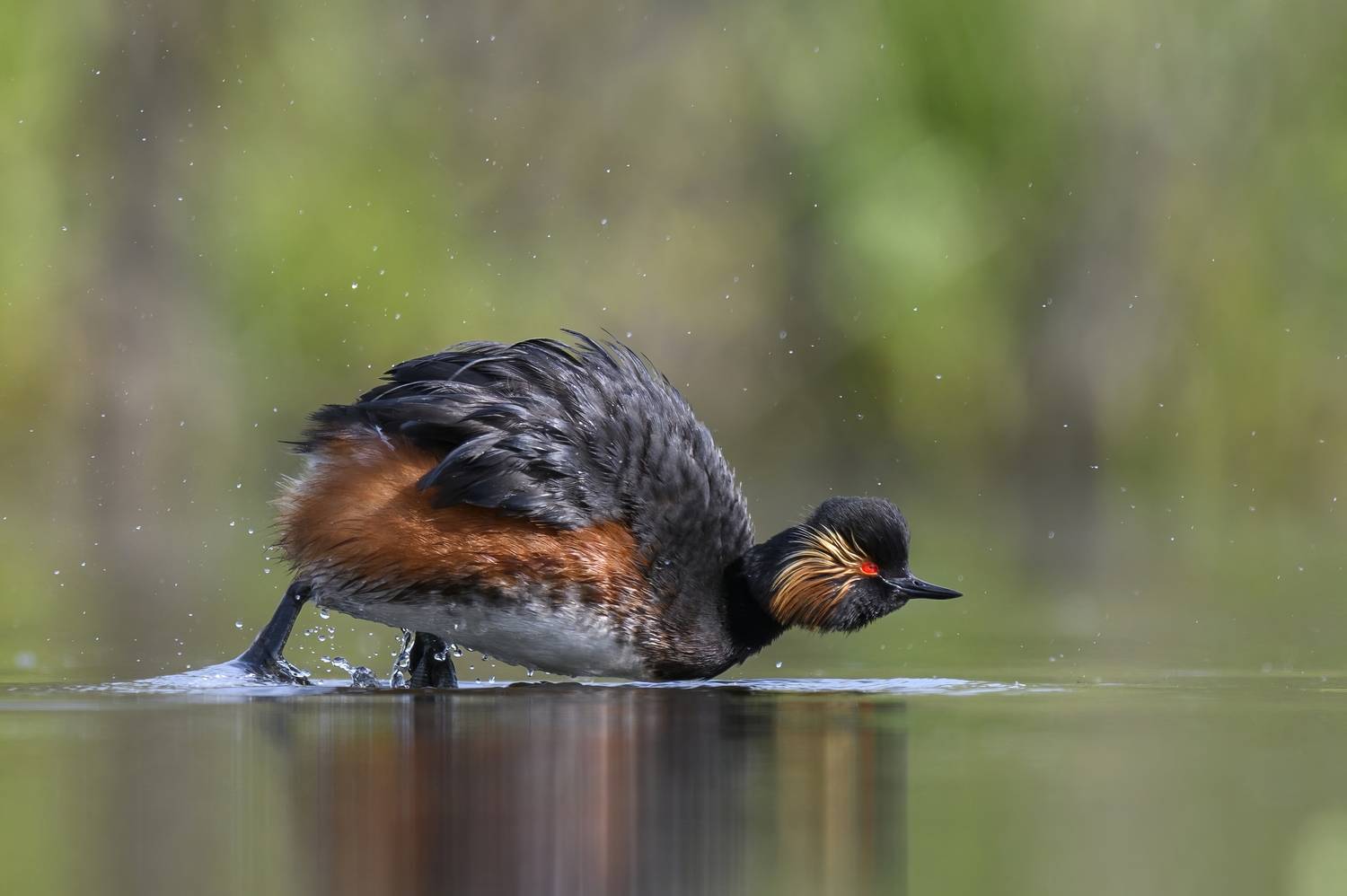 , Пупонин Сергей