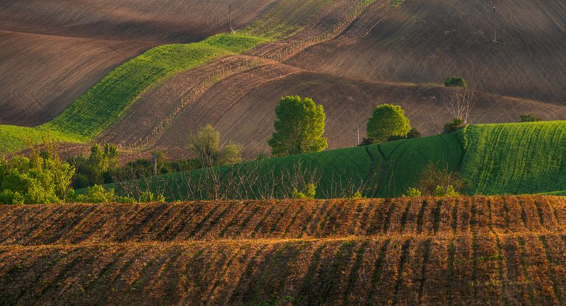 Moravian Fields фото превью