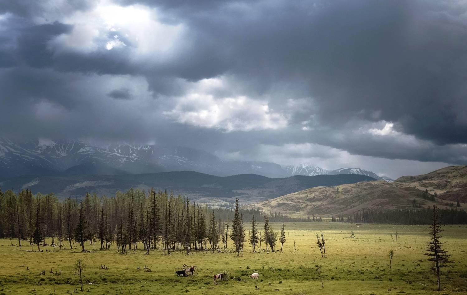 Алтай, непогода, грозовые облака, Фомина Марина