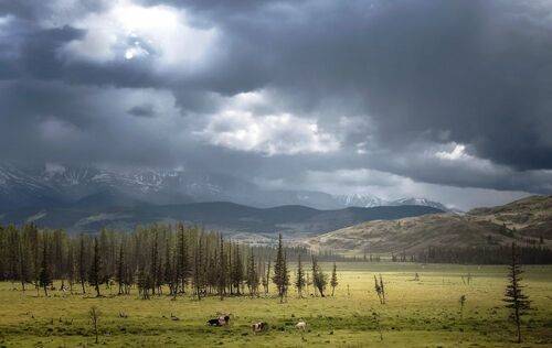 Перед грозой