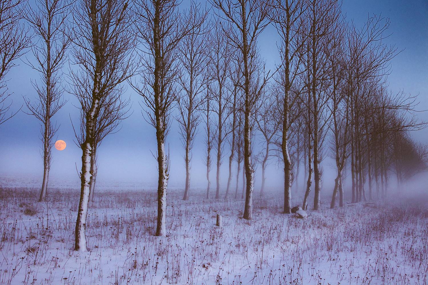 ,  александр михайлов