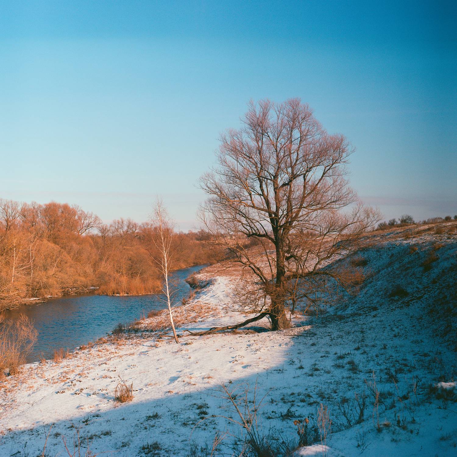 пленка, пейзаж, пейзажная фотография, Тульская область, пленка, kodak ektar, Мартыненко Дмитрий