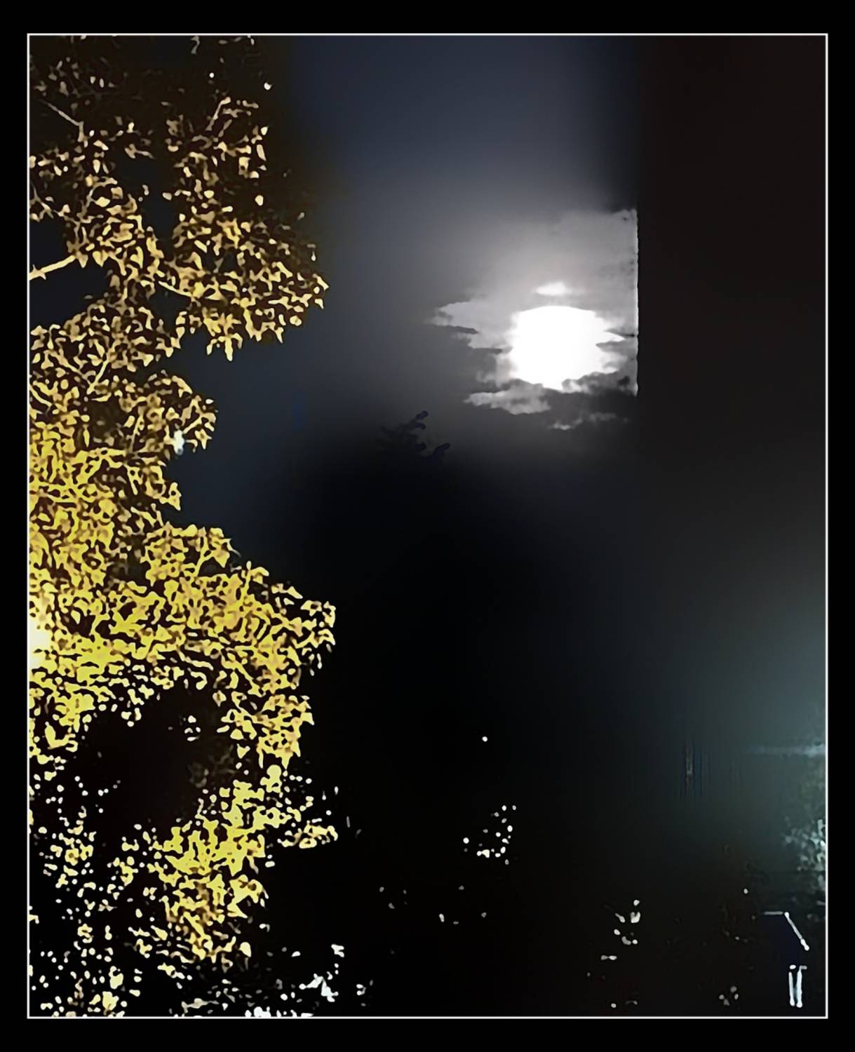 , Герасимова Алёна