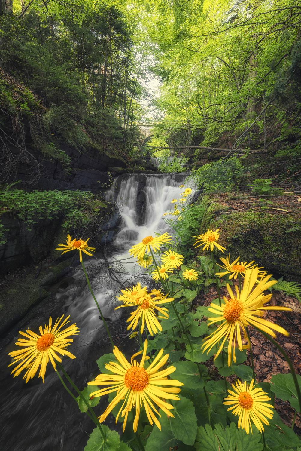 , Маджаров Костадин